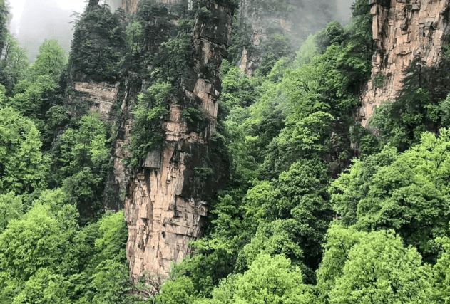 排高品质行程？张家界四日游优质路线新利娱乐去张家界旅游四天需要怎么安