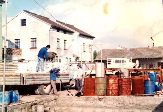 浙江父子却靠它撑起一个千亿帝国花2000元冤枉钱买了一勺盐(图10)